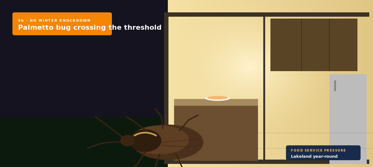 American cockroach (palmetto bug) crossing the threshold of a Lakeland sliding kitchen door on a humid 9b night — year-round Polk County cockroach pressure.