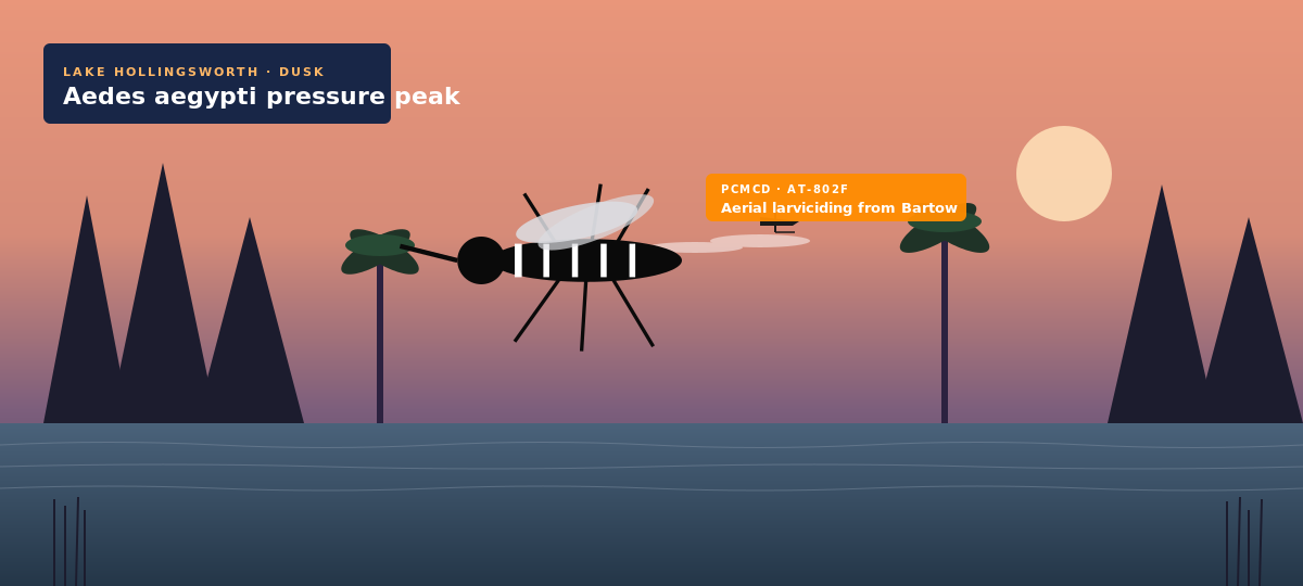 Aedes aegypti silhouette over the Lake Hollingsworth shoreline at dusk with cypress trees and a Polk County Mosquito Control District Beechcraft AT-802F aircraft passing overhead.