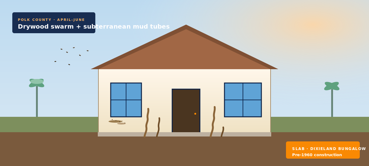 Subterranean termite mud tubes on a slab foundation — the classic finding on a Lakeland FL WDO termite report