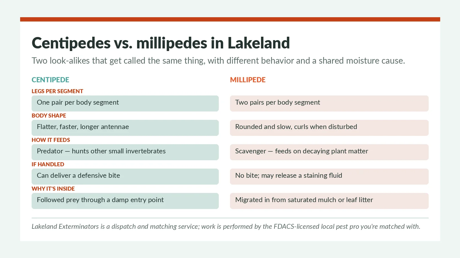 Centipede versus millipede identification chart for Lakeland FL homes — legs per segment, body shape, feeding and defensive behavior explained for the moisture problem behind both