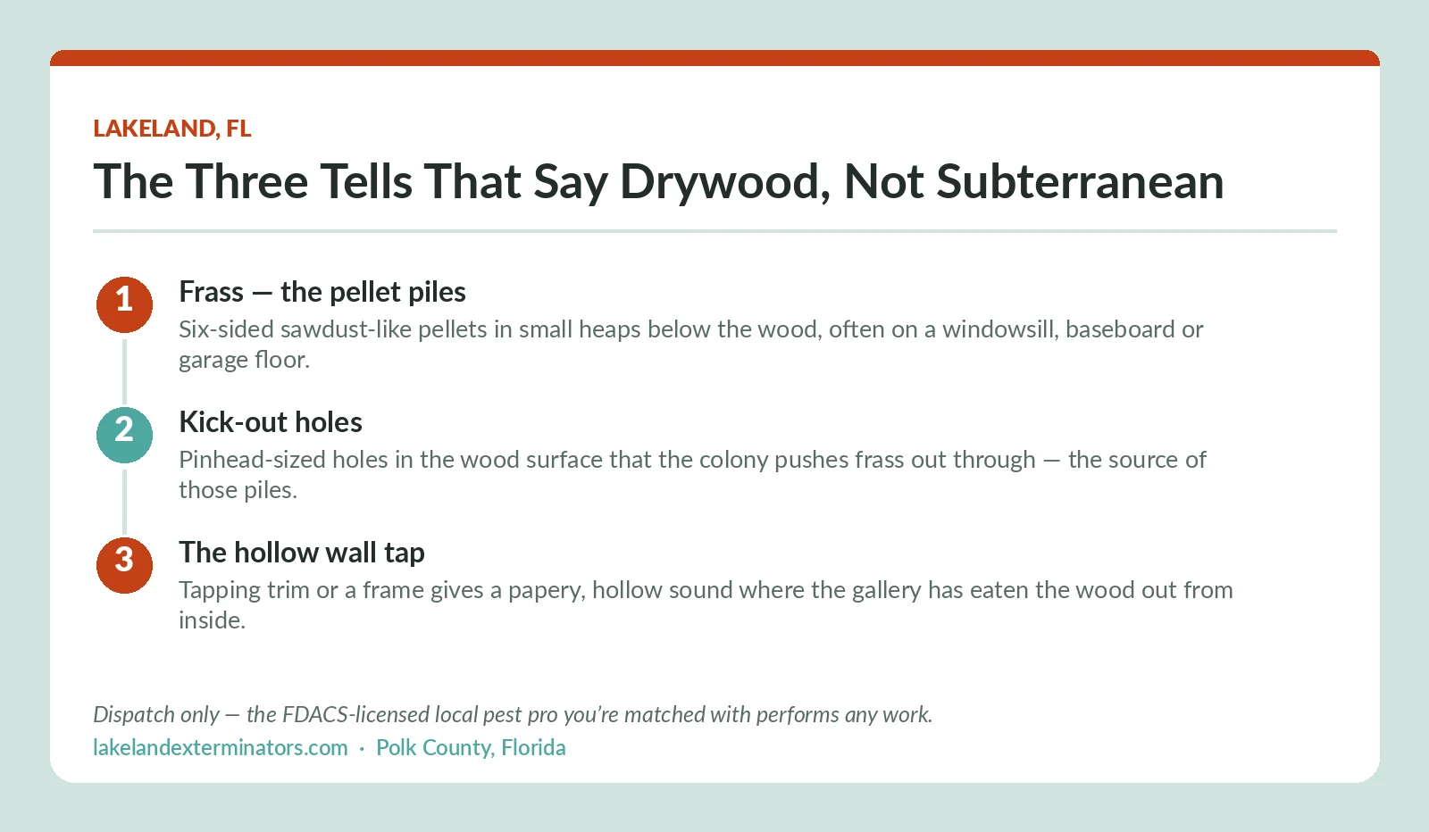 Lakeland FL diagram of the three drywood termite identification tells: frass pellet piles, kick-out holes and a hollow-sounding tap on trim