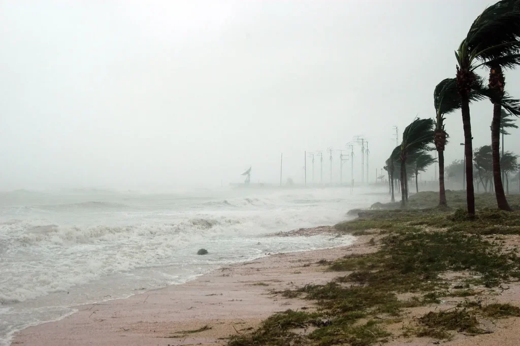 Palms bent in hurricane-force wind and rain — the storm conditions that push pests indoors across Polk County FL