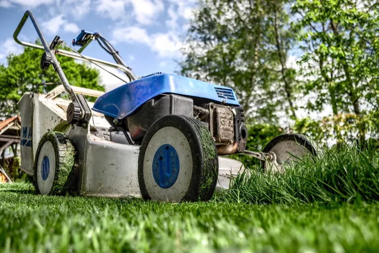 Mower working a green lawn — mowing height and irrigation habits decide how fast lawn pests take hold in Lakeland FL