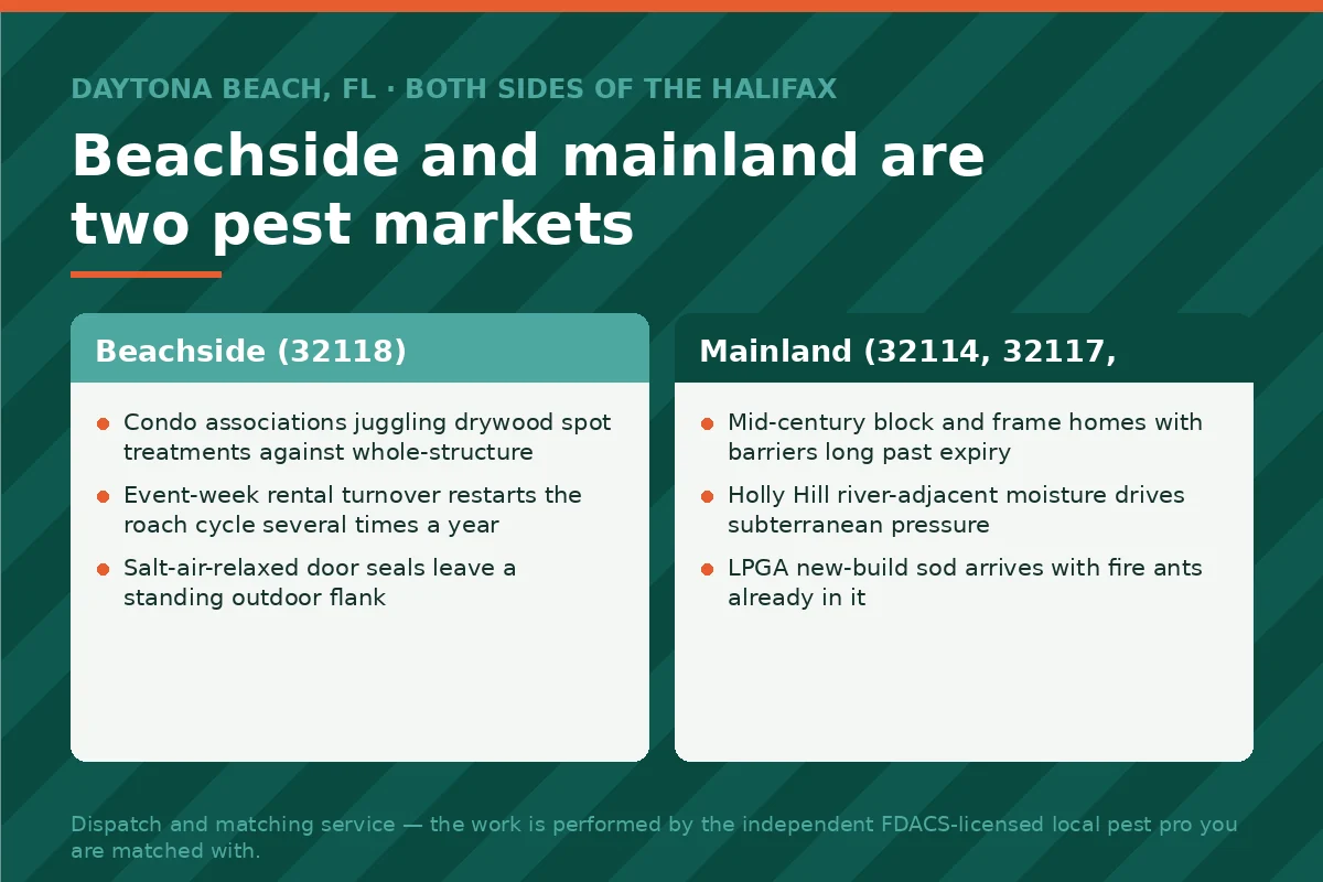 Two-column panel contrasting beachside condo and mainland pest pressure across the Halifax River in Daytona Beach FL
