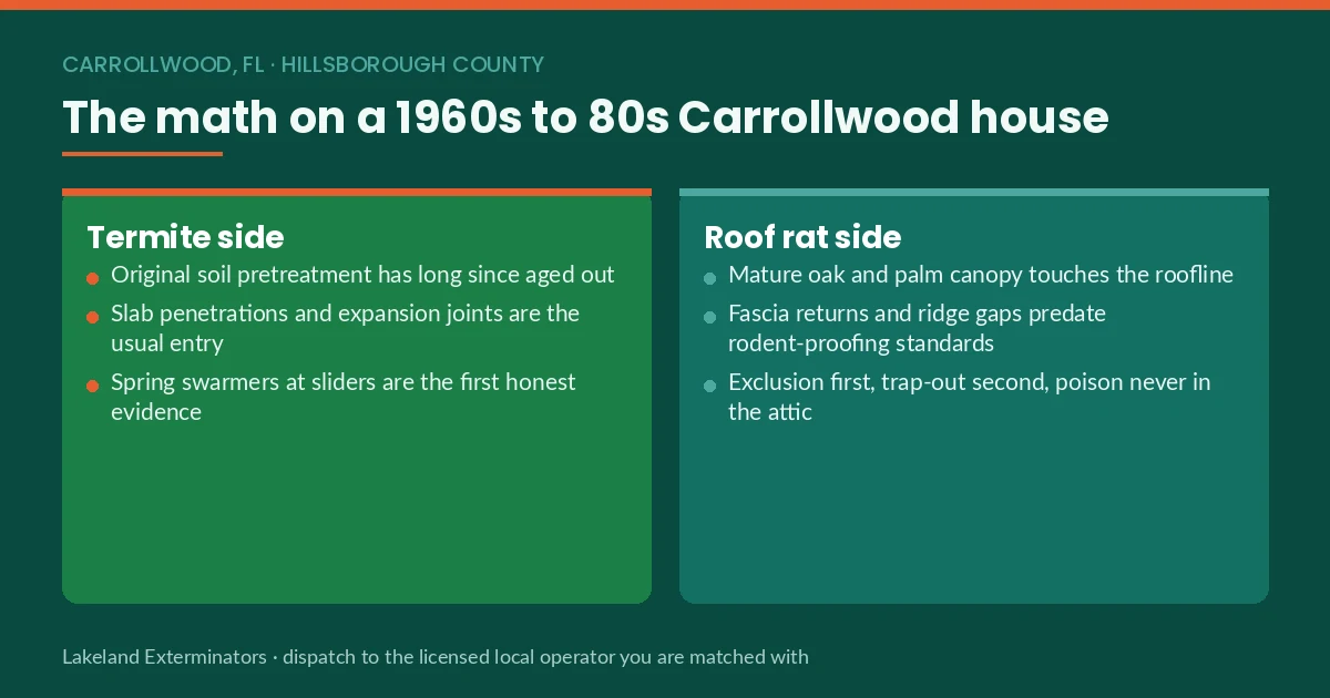 Panel comparing termite and roof rat exposure on a 1960s to 1980s Carrollwood, FL house