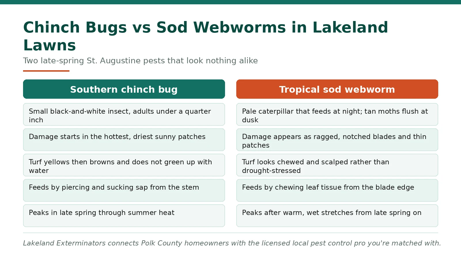 Comparison chart of southern chinch bug versus tropical sod webworm damage in Lakeland FL St. Augustine lawns