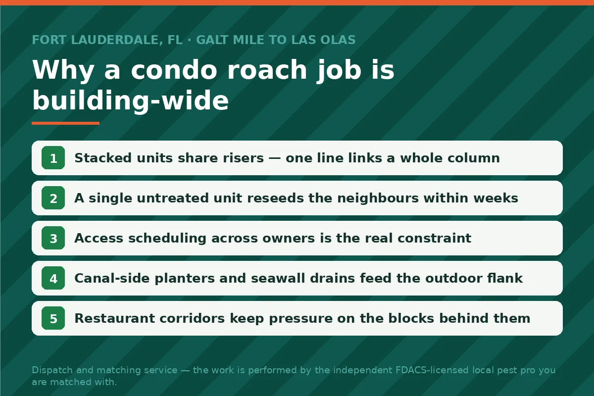 Five-step panel explaining building-wide German roach dynamics in Fort Lauderdale FL condos — shared risers, untreated units and canal-side outdoor pressure