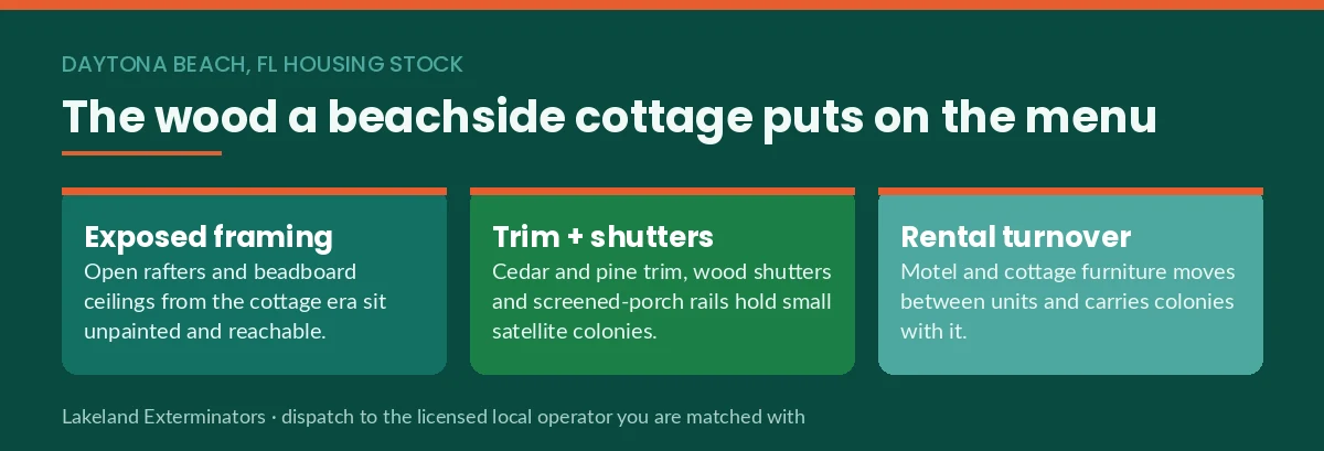 Panel listing beachside Daytona Beach, FL wood that drywood termites target: exposed framing, cedar trim and shutters, and rental furniture turnover