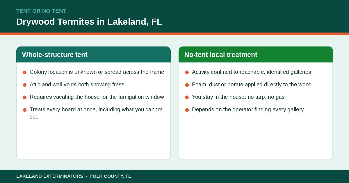 Decision panel comparing tent fumigation and no-tent local drywood termite treatment for a Lakeland, Florida home