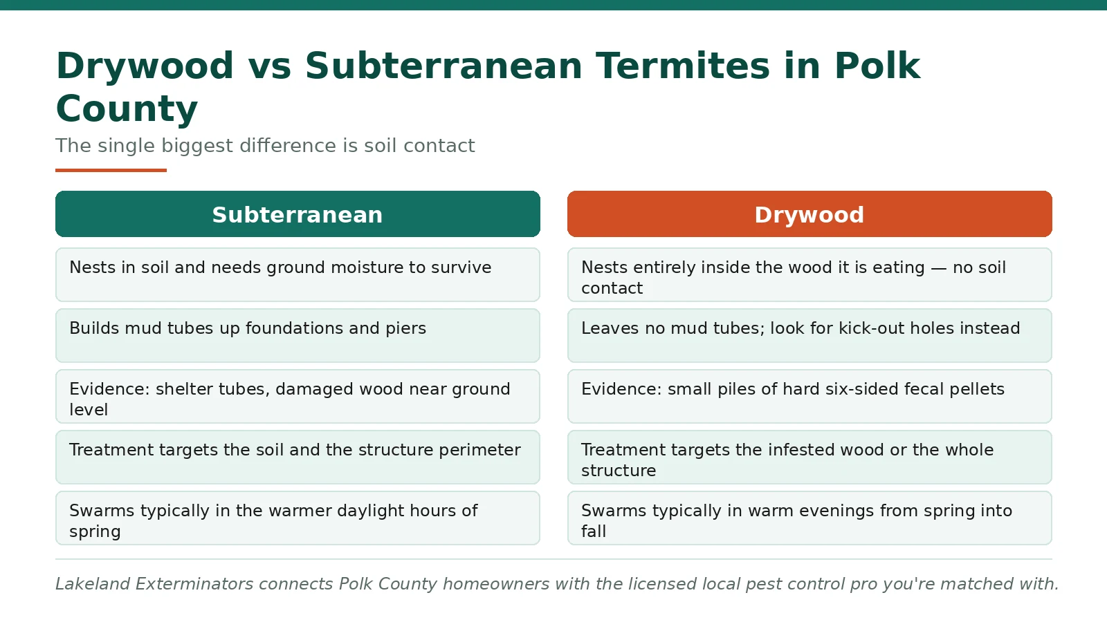 Comparison chart of drywood versus subterranean termites in Polk County FL homes
