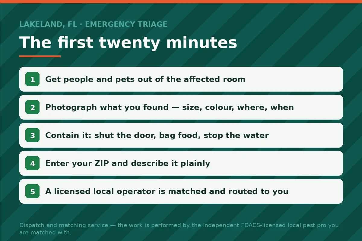 Emergency pest triage sequence panel for Lakeland FL — secure the room, document the species, contain, then get matched to a licensed local operator