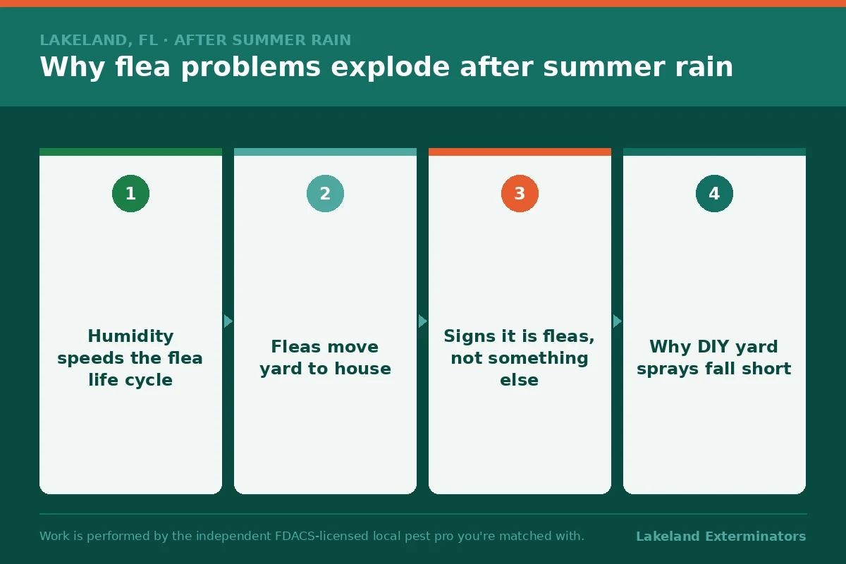 Four-stage graphic on why flea problems explode in Lakeland, Florida yards after summer rain, from humidity speeding the life cycle to why DIY yard sprays fall short.