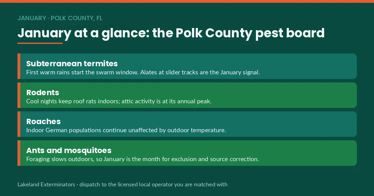 Panel listing January pest activity in Polk County, FL — subterranean termites, rodents, roaches, ants and mosquitoes
