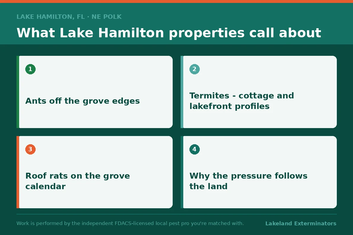 Four-panel graphic of what Lake Hamilton, Florida properties call about, including grove-edge ants, cottage and lakefront termite profiles and roof rats on the grove calendar.