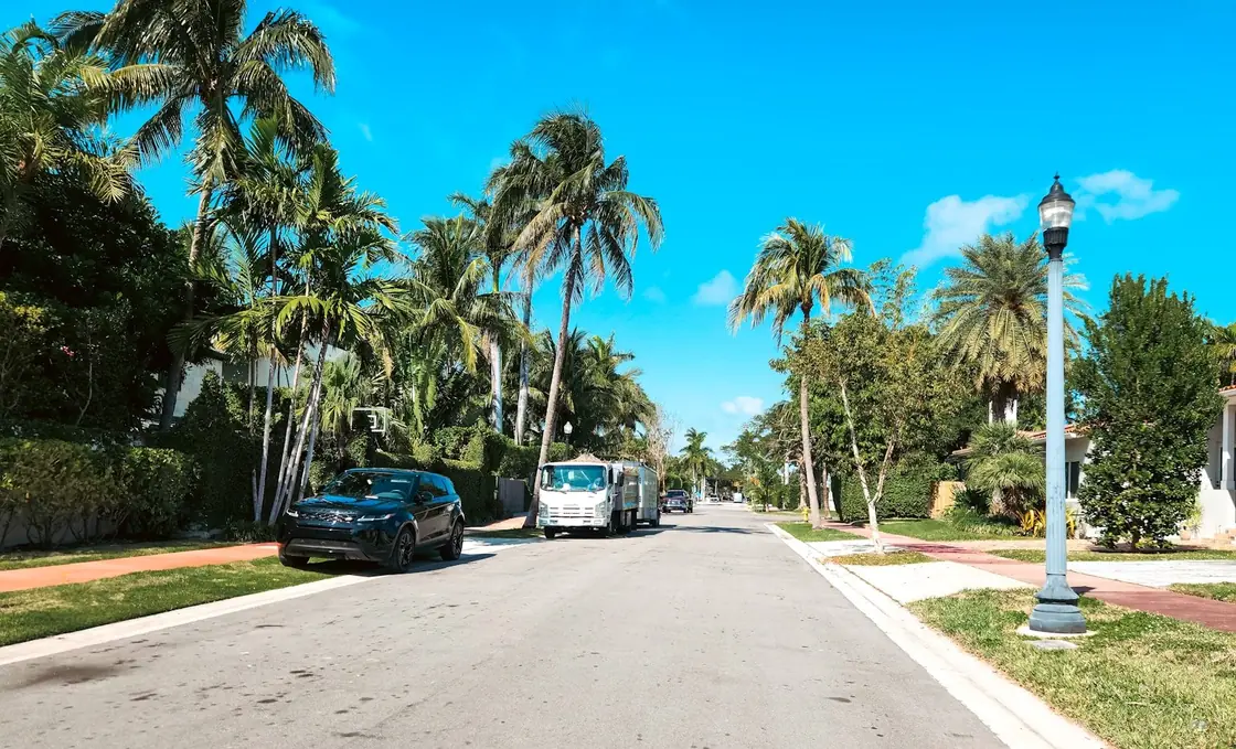 Florida residential street lined with palm trees — Lakeland and Polk County area