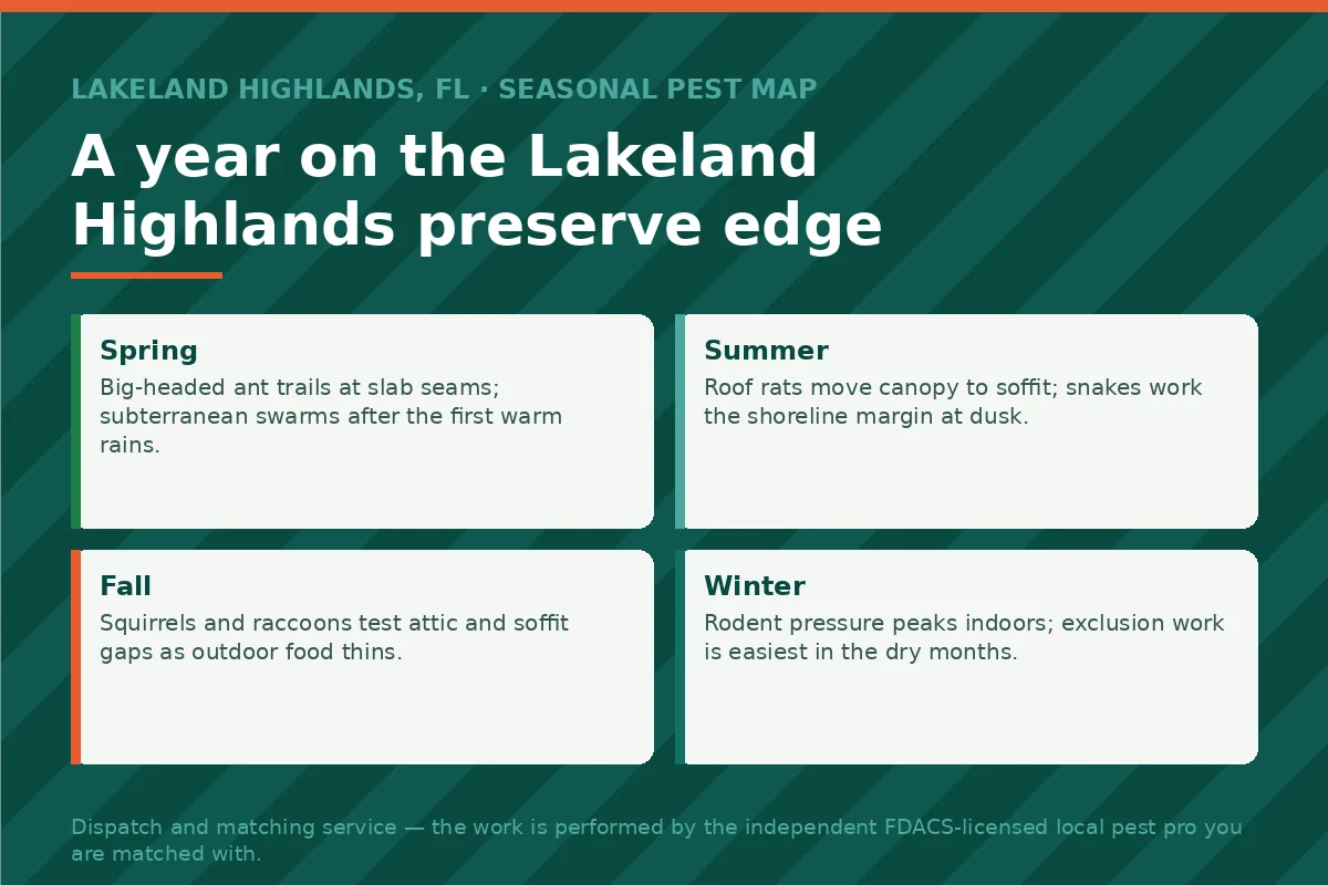 Four-season pest calendar panel for preserve-edge homes in Lakeland Highlands FL — ants, roof rats, squirrels and raccoons by season