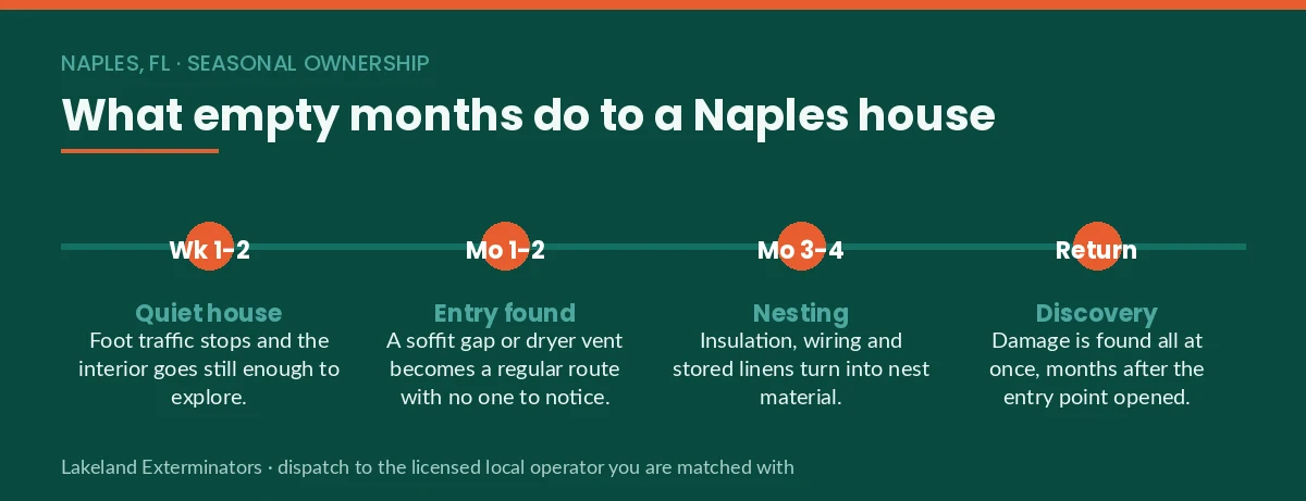 Four-stage timeline panel showing how a seasonally vacant Naples, FL home develops a rodent problem from quiet house to discovery on return