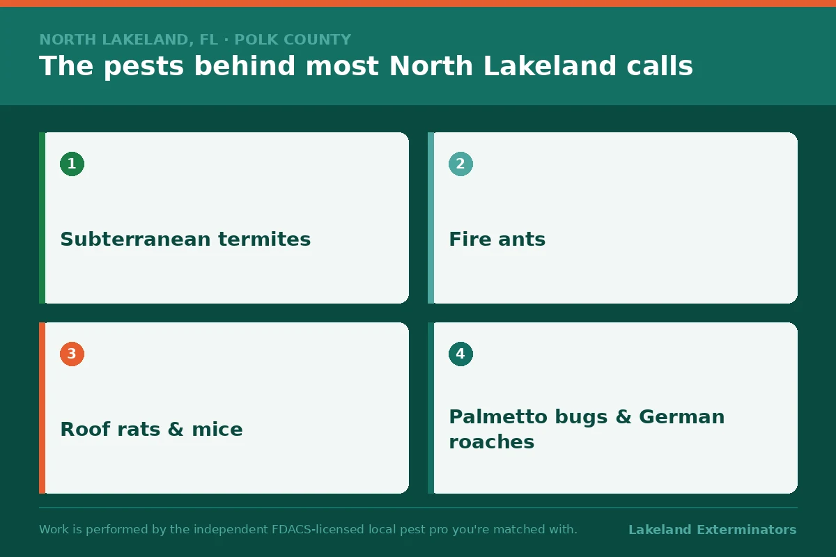Four-panel graphic of the pests behind most North Lakeland, Florida calls: subterranean termites, fire ants, roof rats and mice, and palmetto bugs and German roaches.