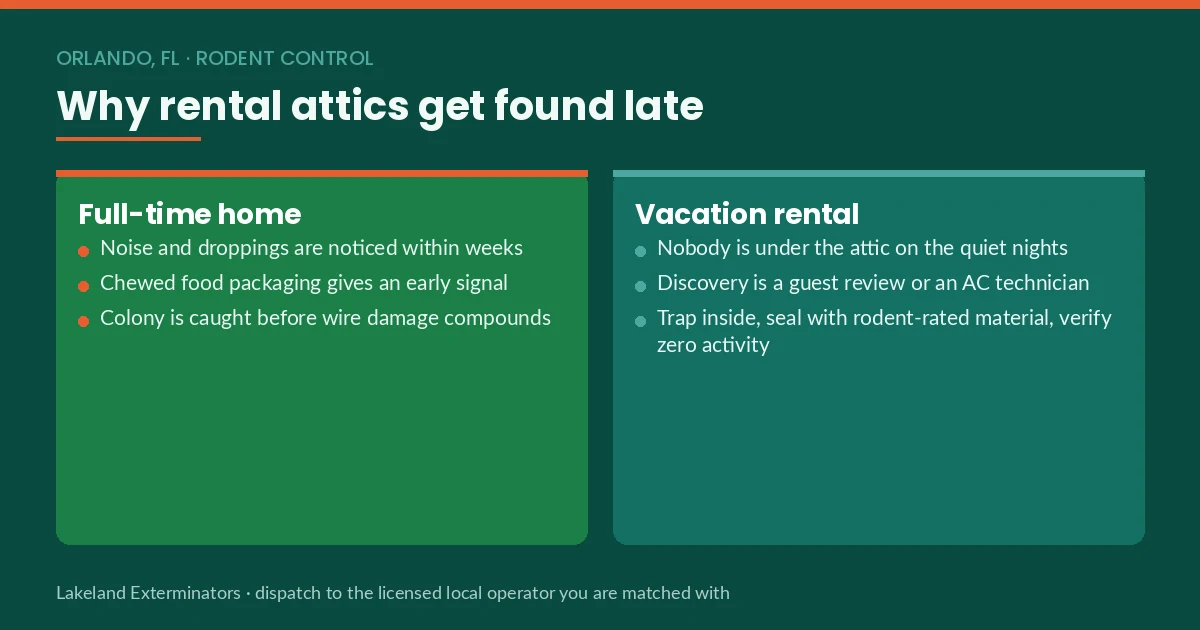 Panel comparing rodent discovery timelines in a full-time Orlando, FL home versus a vacation-rental attic