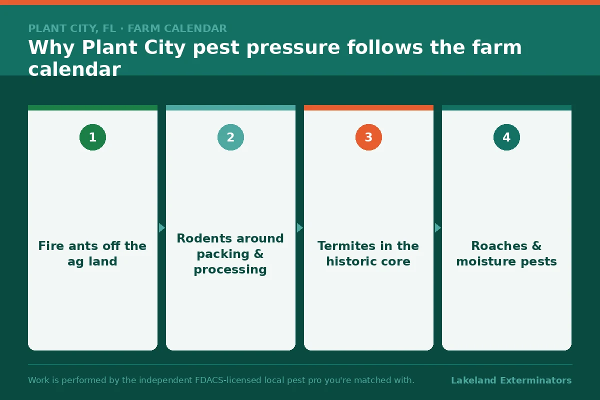 Four-stage graphic on why Plant City, Florida pest pressure follows the farm calendar, from fire ants off the ag land to roaches and moisture pests.