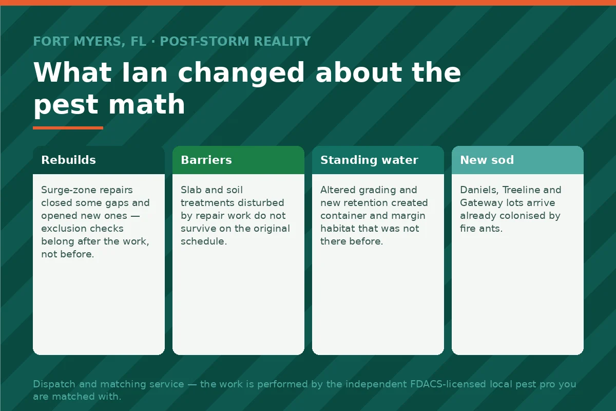 Four-part panel on post-Hurricane-Ian pest conditions in Fort Myers FL — rebuild exclusion gaps, disturbed termite barriers, altered drainage and fire ants in new sod