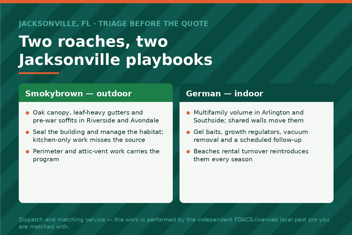 Two-column comparison panel of smokybrown versus German roach programs in Jacksonville FL — outdoor habitat work against indoor baiting and follow-up