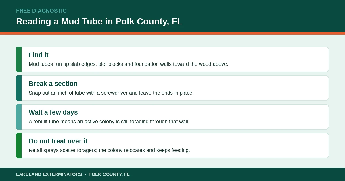 Diagnostic panel showing how to read a subterranean termite mud tube on a Polk County, Florida slab foundation