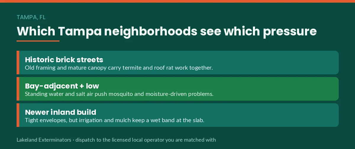 Panel mapping pest pressure across historic brick-street, bay-adjacent and newer inland Tampa, FL neighborhoods