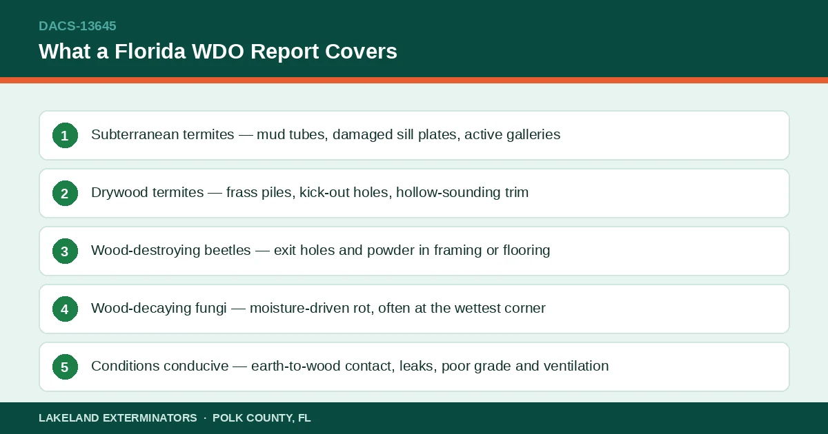 Panel listing the five wood-destroying organisms covered by a Florida DACS-13645 WDO report for a Lakeland home