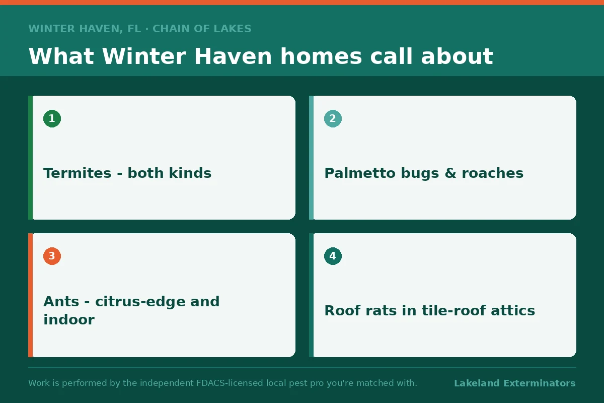 Four-panel graphic of what Winter Haven, Florida homes call about, including both termite types, palmetto bugs, citrus-edge ants and roof rats in tile-roof attics.