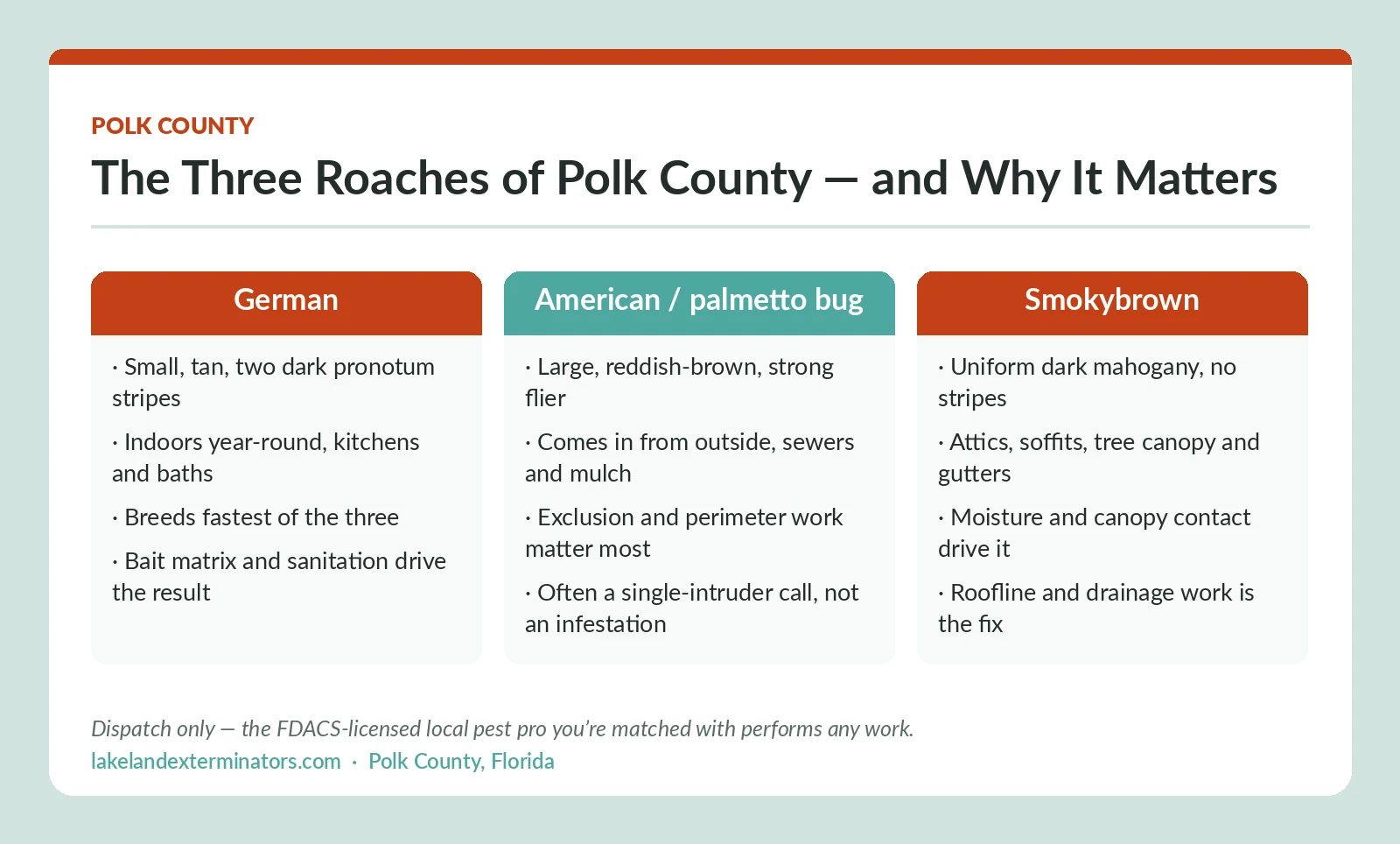 Polk County FL identification chart comparing German, American palmetto bug and smokybrown cockroaches by appearance, habitat and control approach