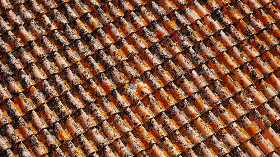 Terracotta barrel tile roof detail — the tile-roof gaps roof rats exploit in Lakeland FL historic neighborhoods, inspected by the licensed local pest pro you're matched with