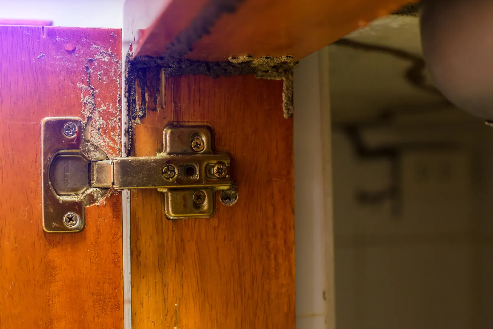 Door frame hollowed by subterranean termites — the hidden structural damage Clearwater FL slab-ranch inspections find