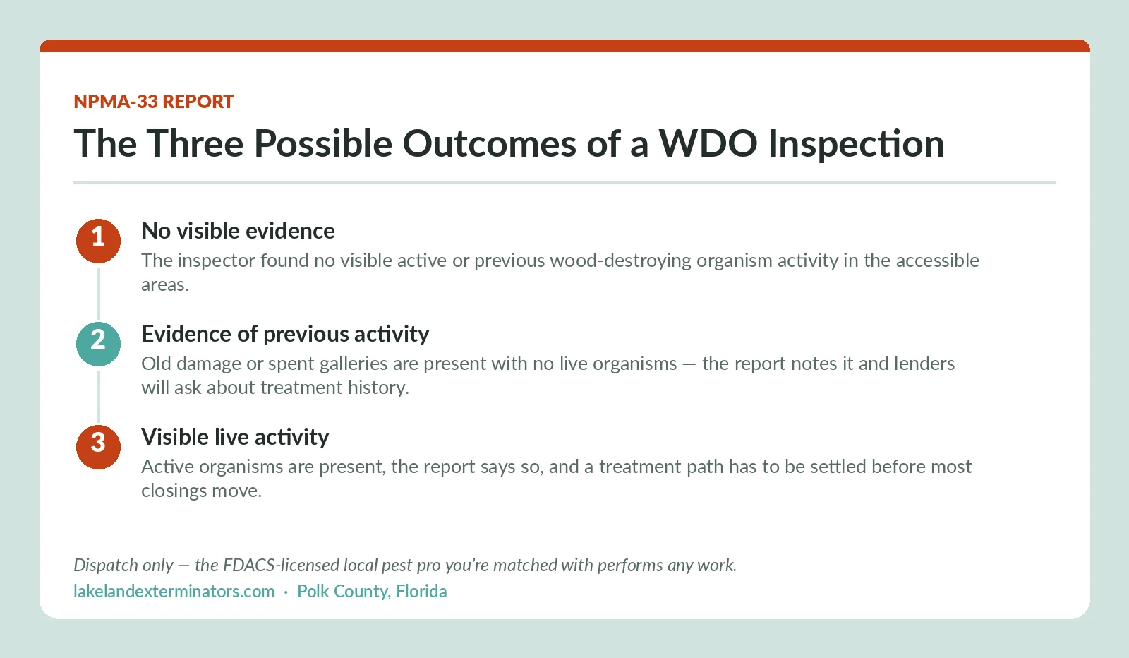 Lakeland FL diagram of the three NPMA-33 WDO inspection outcomes: no visible evidence, evidence of previous activity, and visible live activity